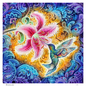 Randal Roberts | Humming Bird | Paper Print